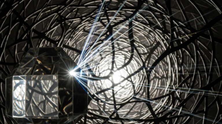 中年抑鬱的共犯結構：脂肪堆積與大腦斷線