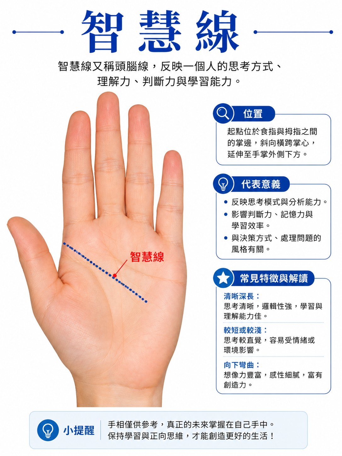 手相三大主線
