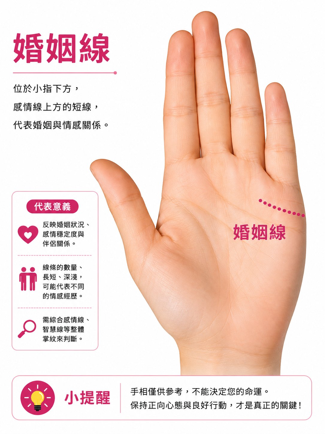 婚姻線—在小指下的掌邊
介於小指和感情紋之間,有的人只有一條,有的則有數條紋。
數目並不重要,總會有一條較深的紋。
如果有兩條一樣深,就怕會容易陷入三角糾紛。