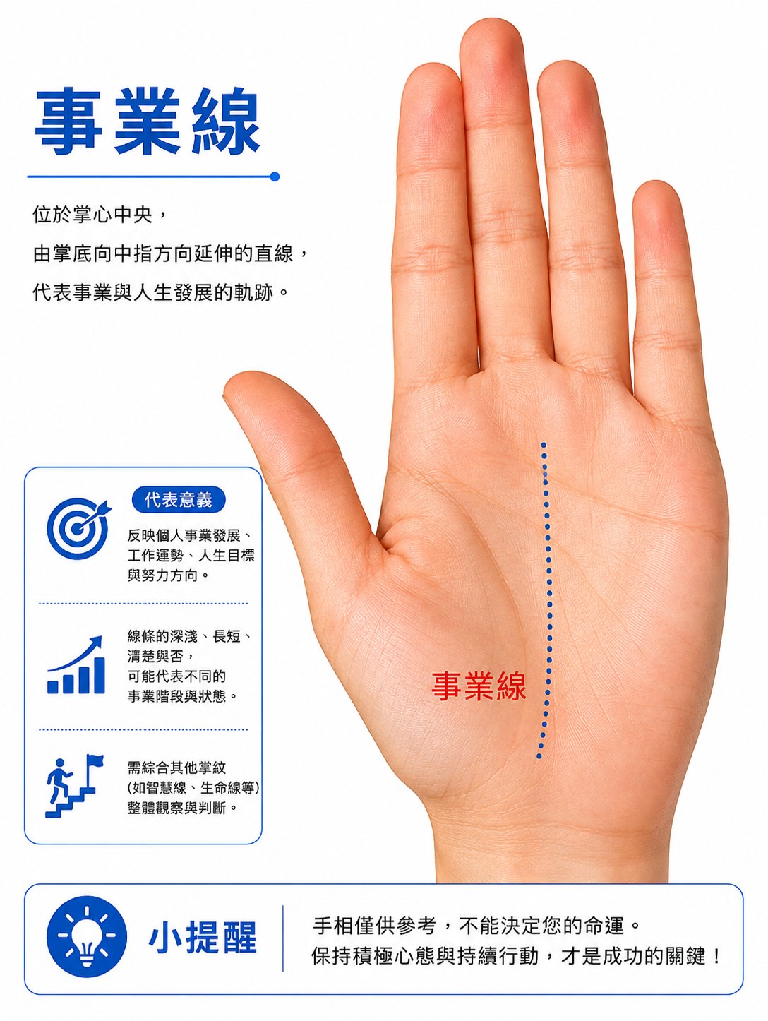 事業線—從手掌底部上升的紋
有的人可以直抵中指根部,也可稱為命運紋。
有的事業線不是一條直紋,而是斷斷續續好幾條,表示工作不穩定,或經常變更工作環境,事業紋升到腦紋(智能線)就停止,表示是由自己智能決定而停止工作。