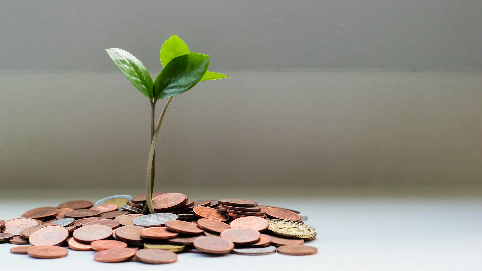 存不了錢是意志力太差？3 帳戶自動存錢法：發薪日隔天讓錢自己歸位