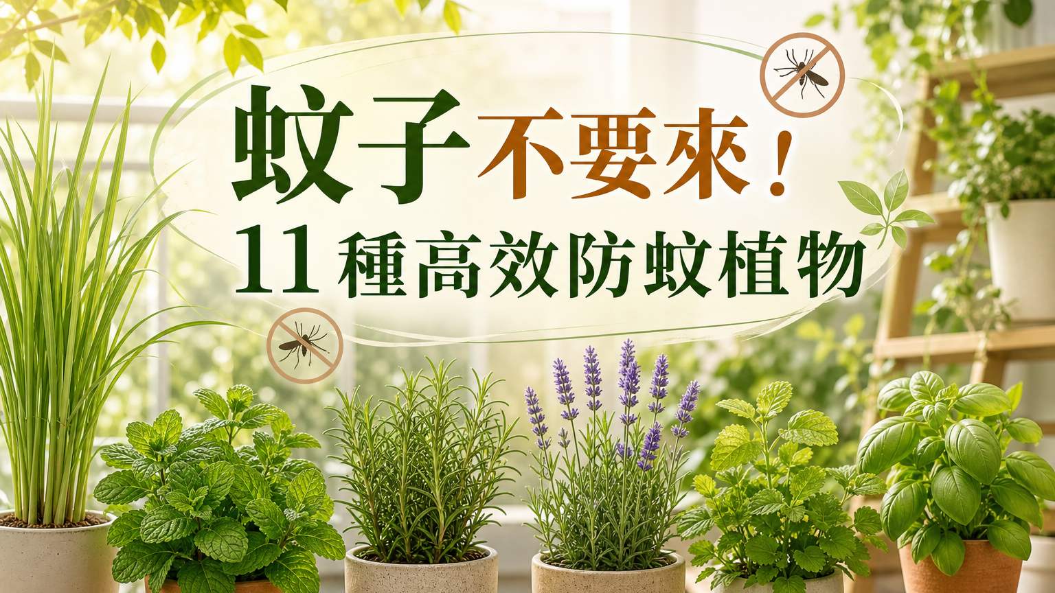 蚊子不要來！11 種高效『防蚊植物』現在種還來的及… 整個夏天都不怕蚊蟲叮咬