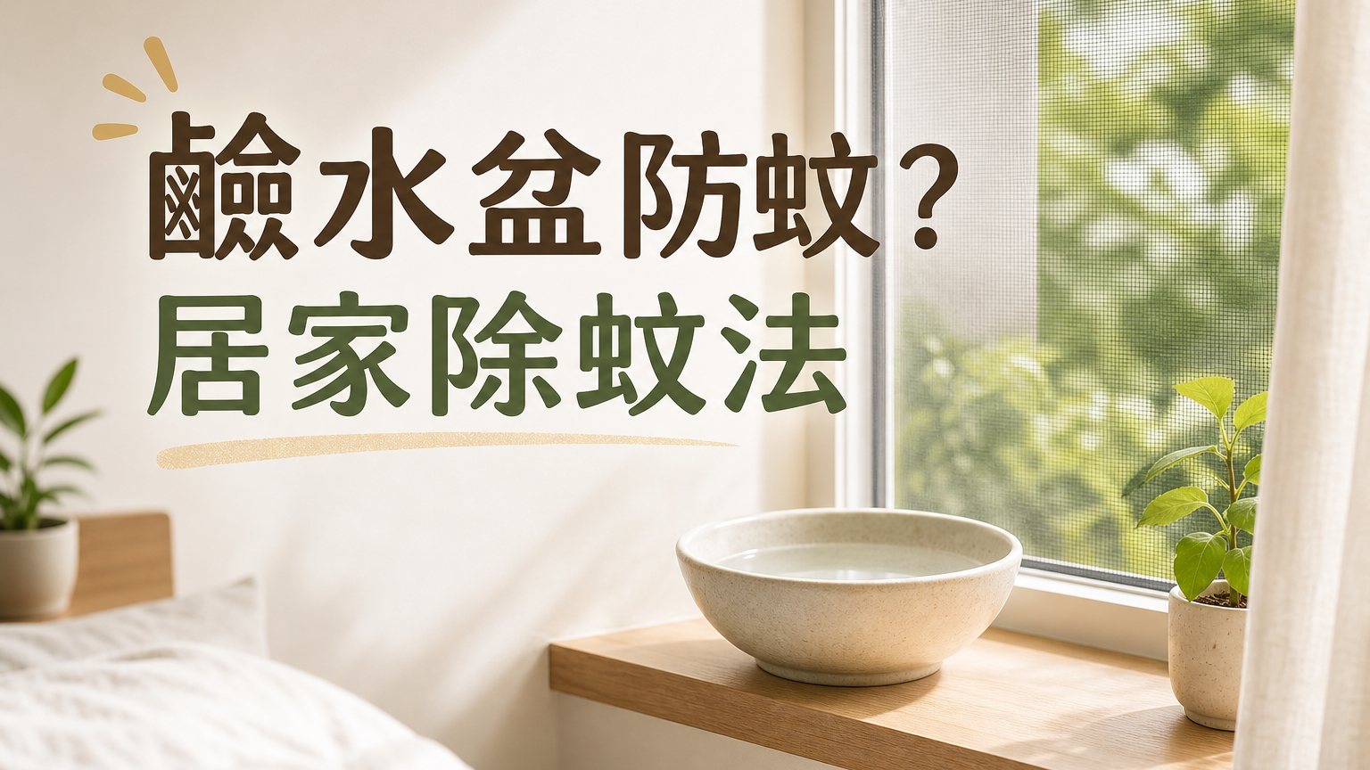 放一碗 「鹼水盆」，讓蚊子不敢進你房，一個月後甚至滅絕！