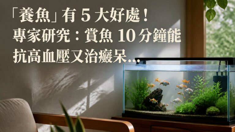 「養魚」有 5 大好處！專家研究：賞魚 10 分鐘能 抗高血壓又治癡呆…