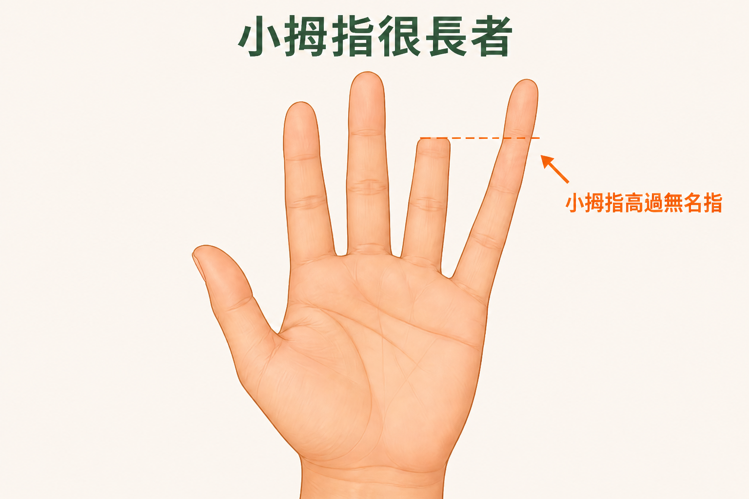 小拇指很長者示意圖:小拇指高過無名指