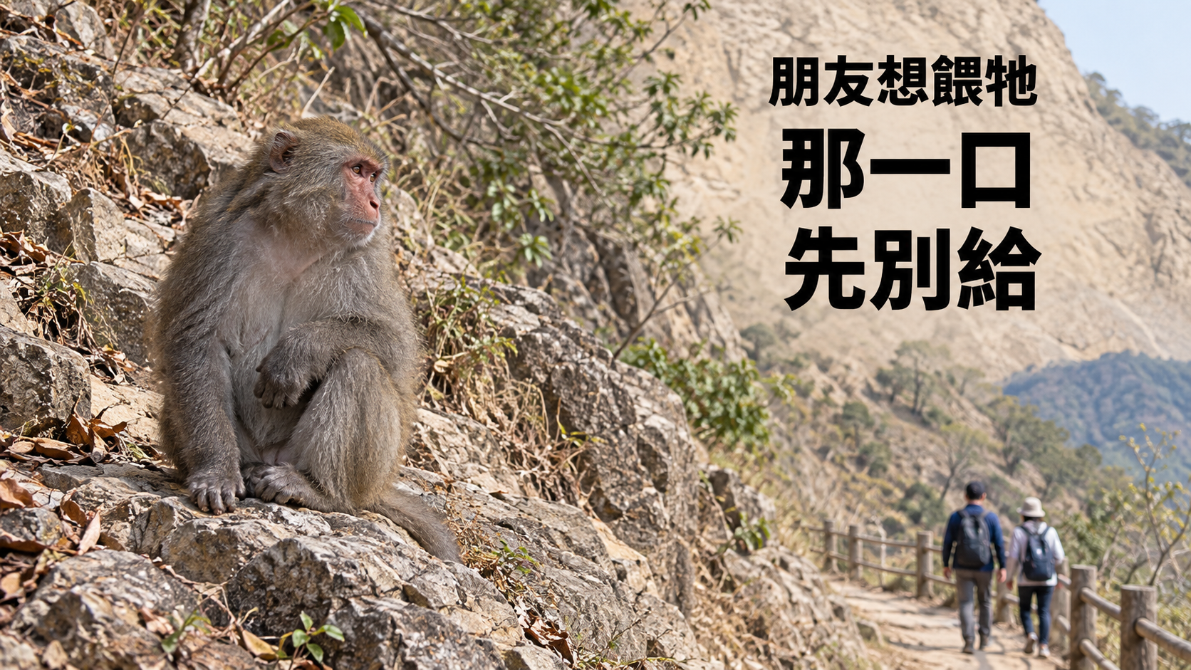 朋友想餵野生動物，怎麼勸？他說「一小口而已」，不幫忙拍照就像掃興？