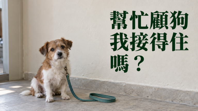 朋友出國請我顧狗，怎麼拒絕？他說「放飯就好」，為什麼整個週末都不敢安排？